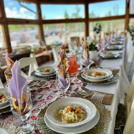 Osada Miedzy Drzewami Braniewo