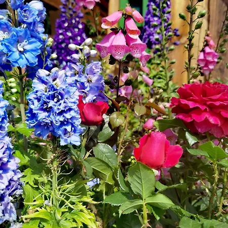 Osada Miedzy Drzewami Vakantieboerderij *